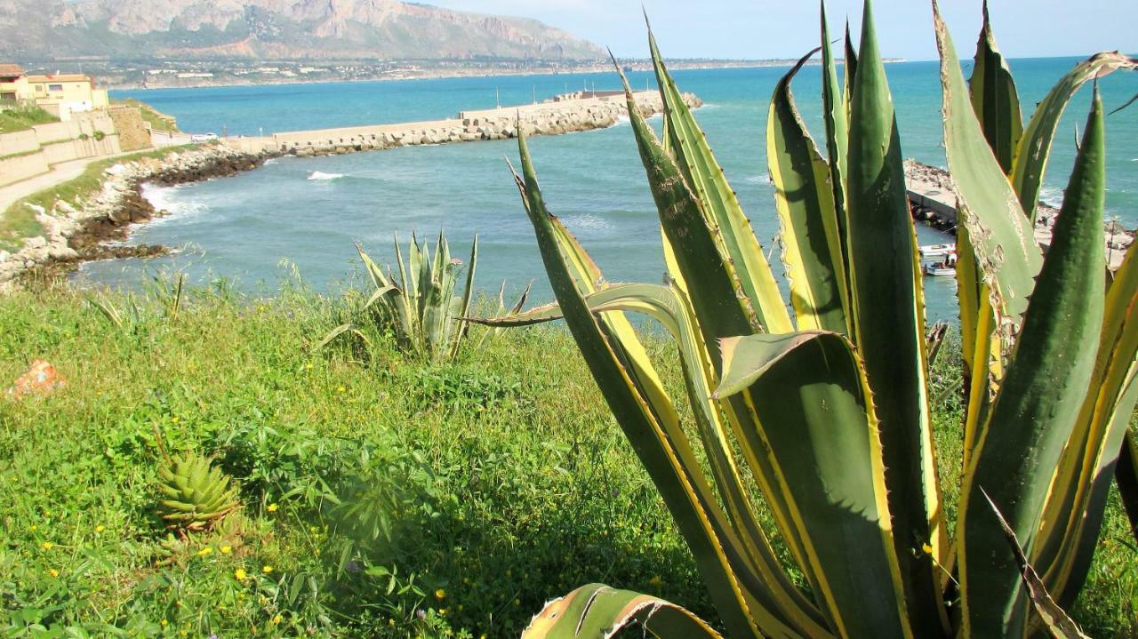 Ferienwohnung Sapori Di Mare Trappeto  Exterior foto